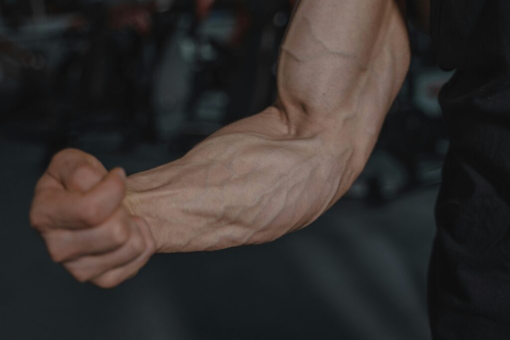 10 most effective bicep workout at home without equipment